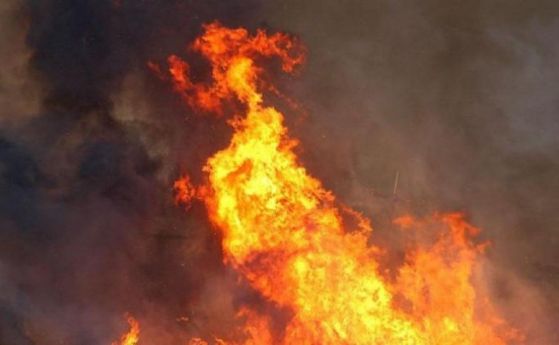 Пожар гори в житен масив край Пловдив между кварталите Прослав