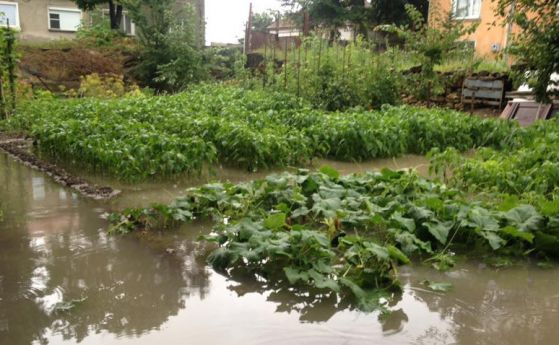 Наводнение в Мизия, Хайредин и Борован: обявено е бедствено положение (снимки)