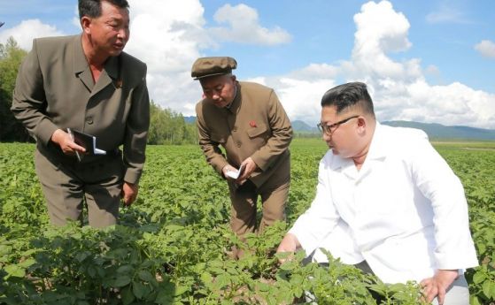  Вместо да посрещне държавния секретар Помпейо, Ким Чен Ун посетил... картофена равнища 