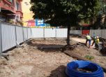 70% по-малко дървета след ремонта на Граф Игнатиев, секат върбите пред Свети Седмочисленици