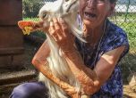 Баба Дора, която разплака България: Паднах на колене пред Порожанов, за да спася стадото. Не става
