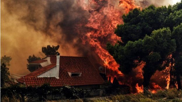 Горските пожари, които бушуват край столицата Атина, убиха най-малко 20