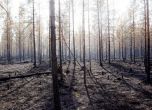 Пожари бушуват и в Швеция, не е валяло от май