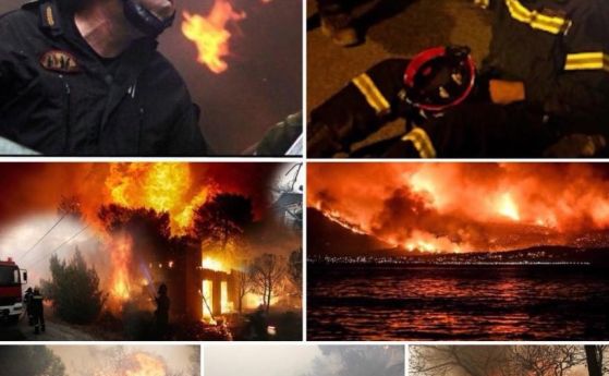 Огненото опустошение в Гърция в снимки и видео