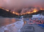 Жертвите на пожарите в Гърция станаха 85