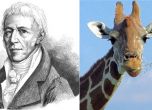 На 1 август 1744 е роден Ламарк, създателят на думата 'биология'