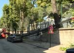 Кран падна близо до Музикалното училище във Варна
