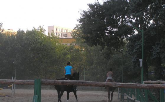 Пенсионираха кончетата от Борисовата, отиват във ферма на Анимал Рескю