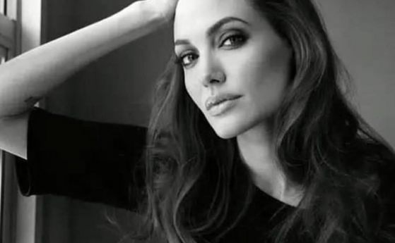 Анджелина Джоли се оплака пред съда, че Брад Пит не плаща издъжката на децата им