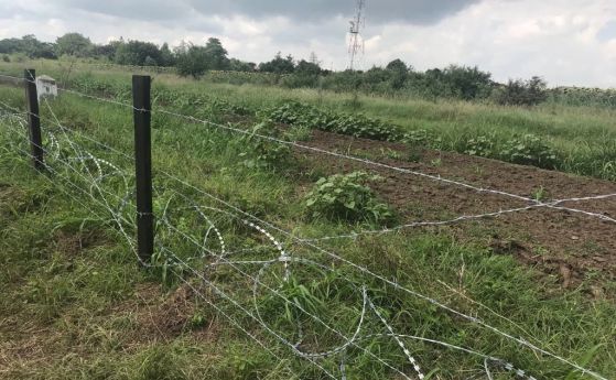 81 км от телената ограда срещу диви свине по границата с Румъния вече са готови