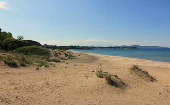  Концесионерът на плажа в Слънчев бряг: Не сме копали в дюни 