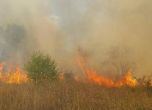 Пожар избухна в борова гора над Карлово (обновена)