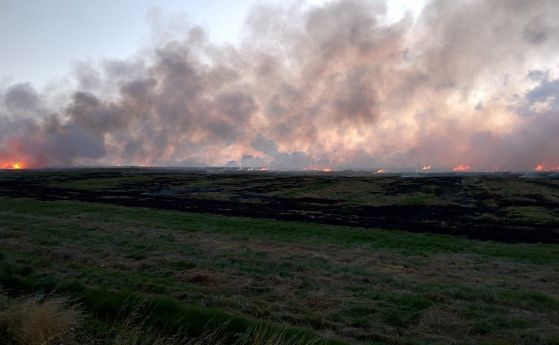 Жена разчисти вилата си от сухи треви и ги запали за по-лесно. Пожарът обхвана 10 дка ниви край Бургас