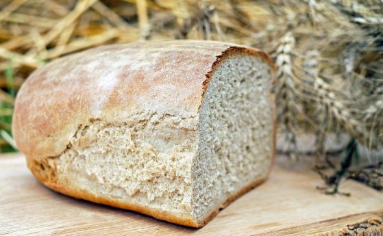  Земеделският министър: Има действителни предпоставки за повишаване на хляба 
