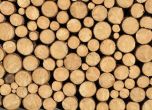 Началници в горското в София и в Своге са арестувани за незаконна сеч и търговия с дървен материал
