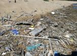 Отпадъците в морето най-често са пластмасови, заключиха биолози