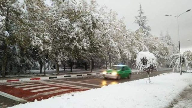 Сняг покри някои части на Мароко, съобщават местни медии. В градчето Ифране,