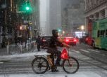 Сняг парализира Ню Йорк
