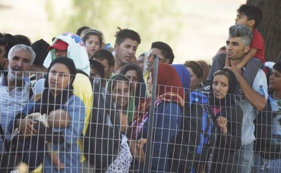 Близо 270 000 сирийски бежанци са се завърнали в страната