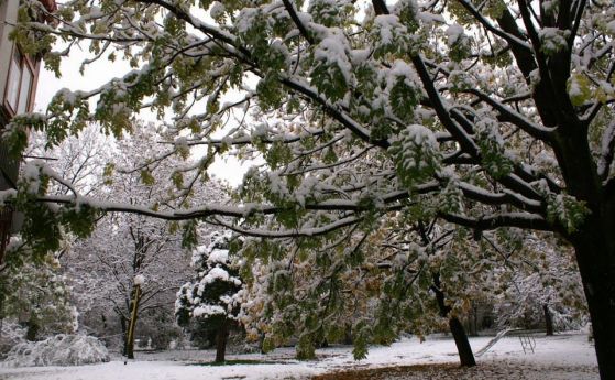 Снегът остави 10 населени места в община Пазарджик без ток