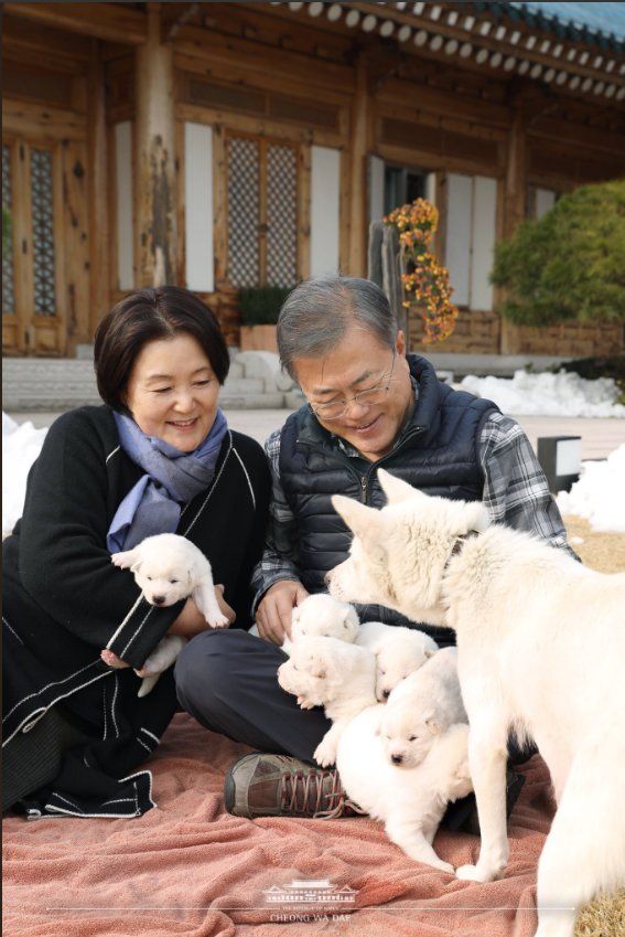 Президентът на Южна Корея Мун Дже-Ин и неговата съпруга се