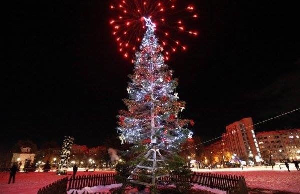 Коледната елха на София грейва на 30 ноември в парка