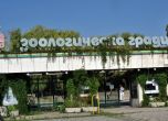 Шефът на Софийския зоопарк: Цената за вход трябва да се вдигне и да се въведе семеен билет