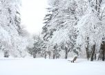 В Западна България - сняг, на изток - дъждове