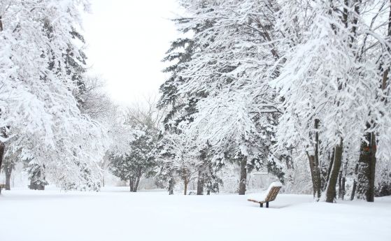 В Западна България - сняг, на изток - дъждове