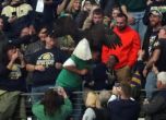 Белоглав орел шокира футболни фенове по време на мач