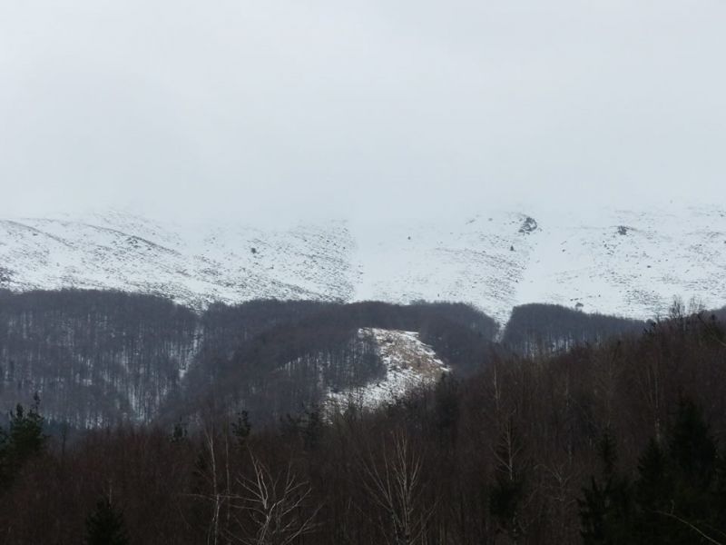 Асоциация на парковете в България