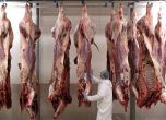 Белгия забрани ритуалното клане на животни за халал и кашер месо