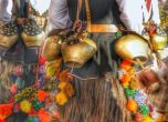 Днес започва фолклорният фестивал 'Сурва'