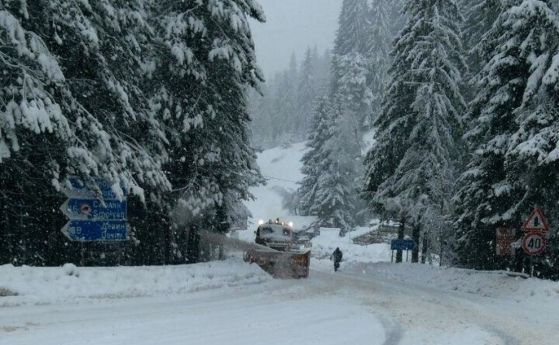 Бедствено състояние в област Смолян поради снега, доста селища са без ток 