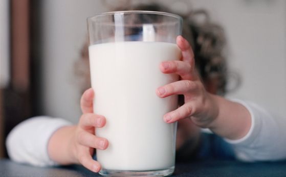 Право на отговор: С промените в наредбата повече производители доставят мляко в училище, намаля броят на търговците