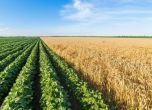 Правителството одобри 3 млрд. лева помощи за земеделието през 2019 г.