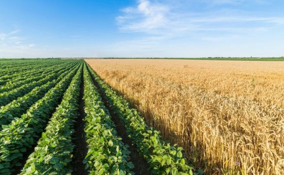 Правителството одобри 3 млрд. лева помощи за земеделието през 2019 г.
