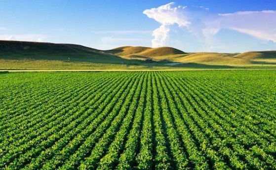 Правителството одобри проект на Закон за преброяване на земеделските стопанства