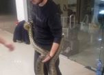 Най-после хванаха змията, избягала в пловдивски мол