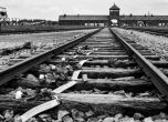 Полша поиска извинение от Израел и заплаши със замразяване на отношенията заради репликите за Холокоста