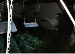 В София е действала подземна наркооранжерия, до която се стига през 40-метров тунел (видео)