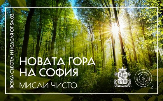 Садят дървета в Новата гора на София всеки уикенд