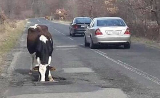 Жители на с. Гърмен излязоха на протест заради лошите пътища