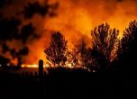 Избухна пожар в гората на Мечо Пух