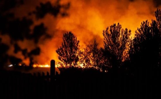 Избухна пожар в гората на Мечо Пух