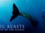 'Големи зверове: Последният гигант' е по Viasat Nature отново с маратон на трите си епизода