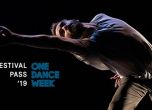 Пълна програма : One Dance Week 2019