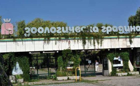 Зоопаркът в София с вход свободен днес