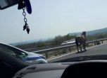 Борисов: Не може кон на магистрала. Катаджиите да гледат и тези пасища