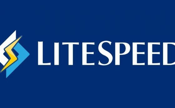  LiteSpeed уеб сървър за бързи уеб сайтове от NS1 